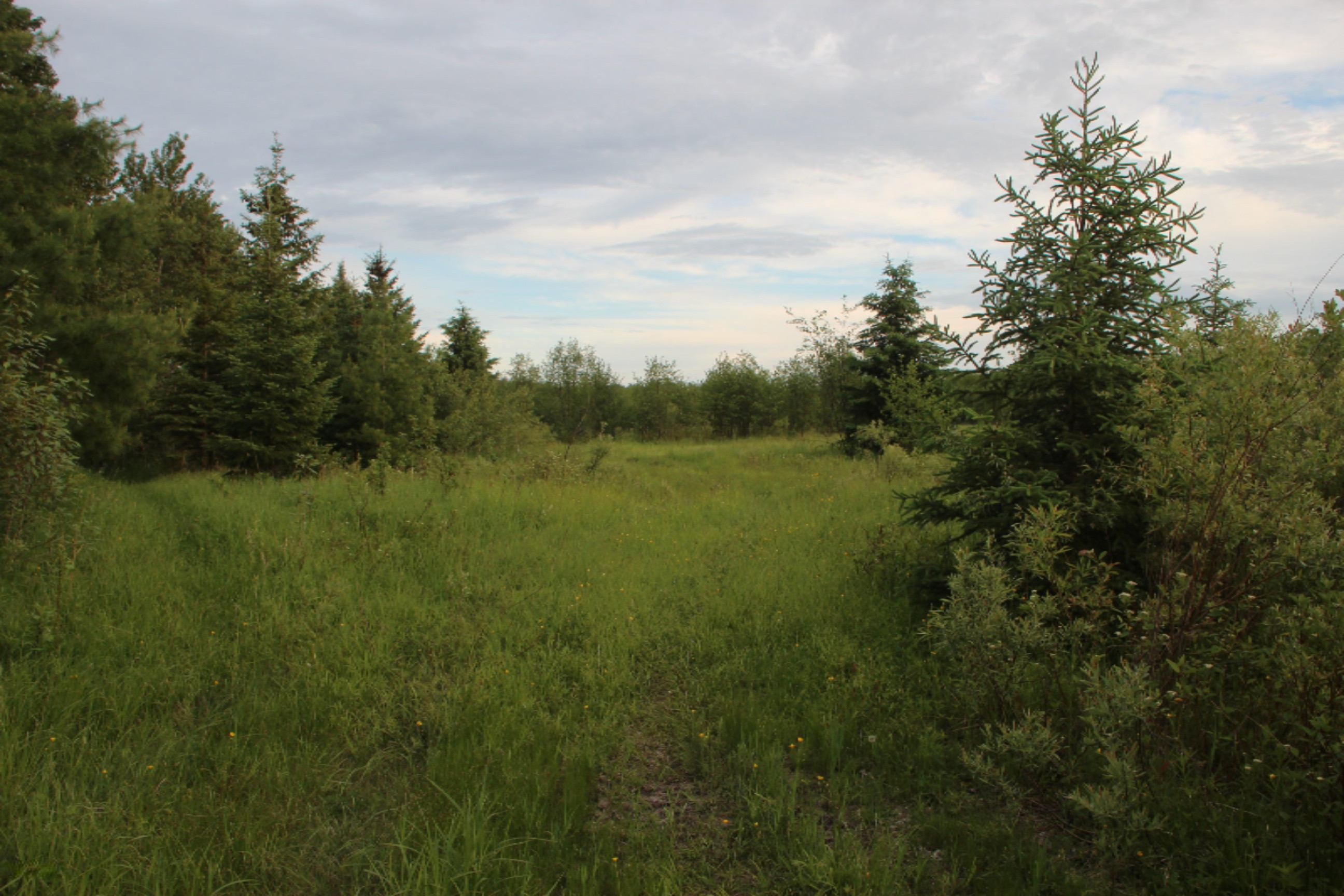 -vl Vl School Road Spruce, MI 48762 - Photo 1 of 10 IMG_0225