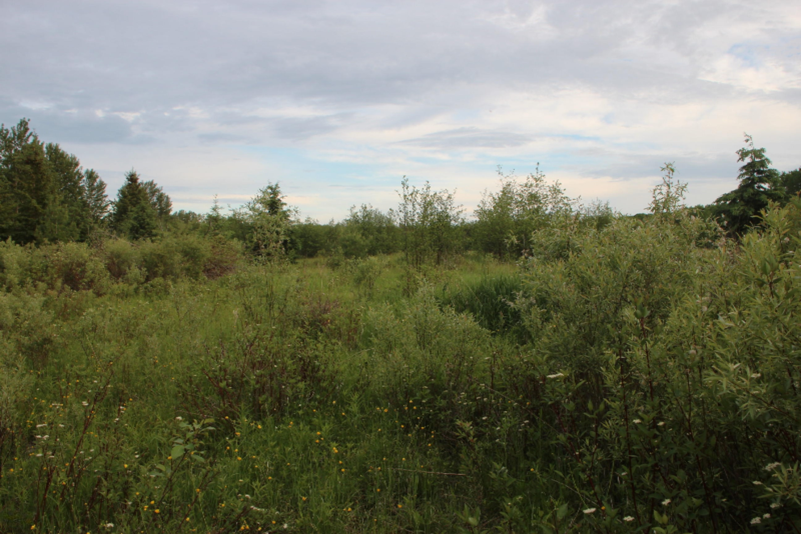 -vl Vl School Road Spruce, MI 48762 - Photo 2 of 10 IMG_0223