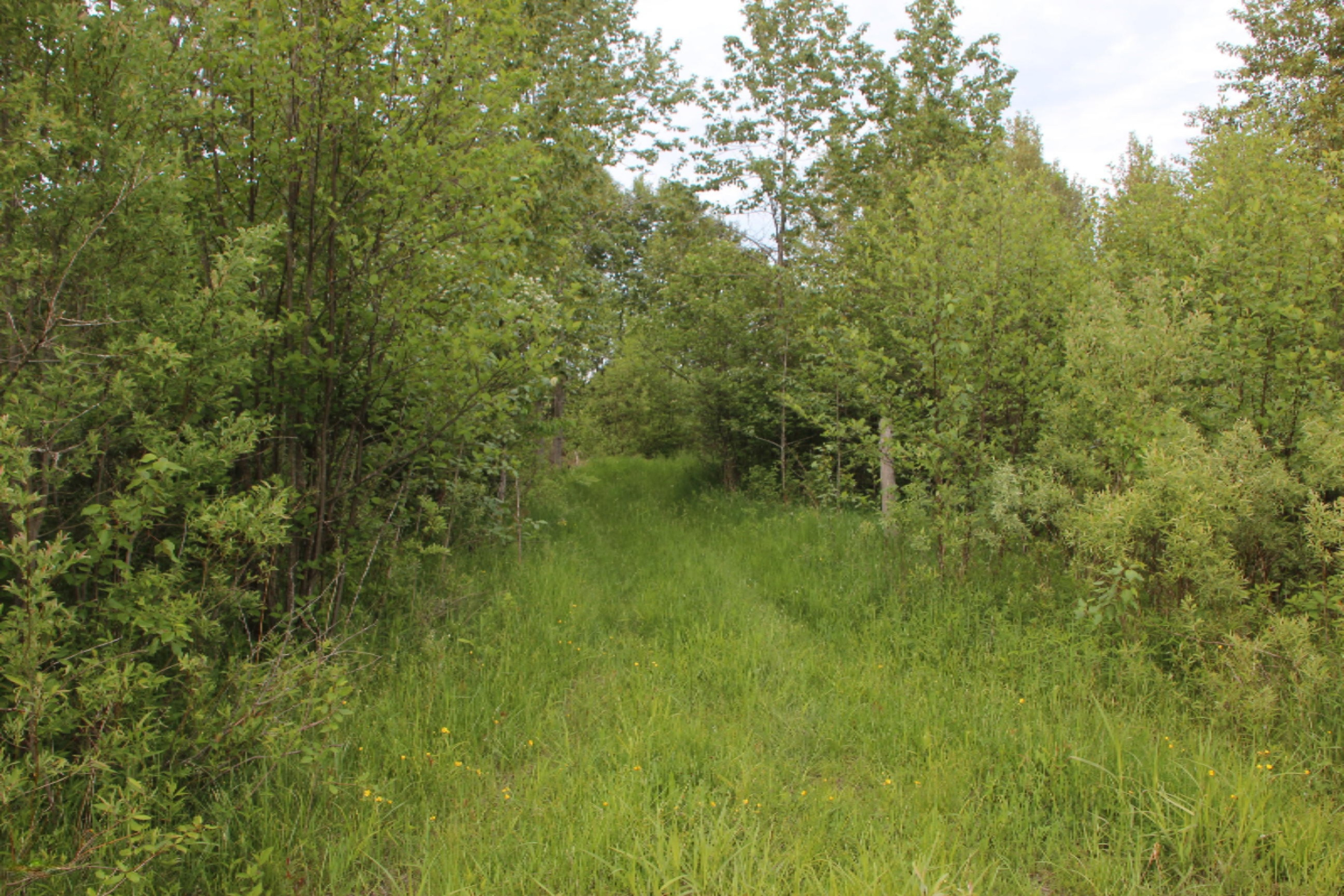 -vl Vl School Road Spruce, MI 48762 - Photo 3 of 10 IMG_0224