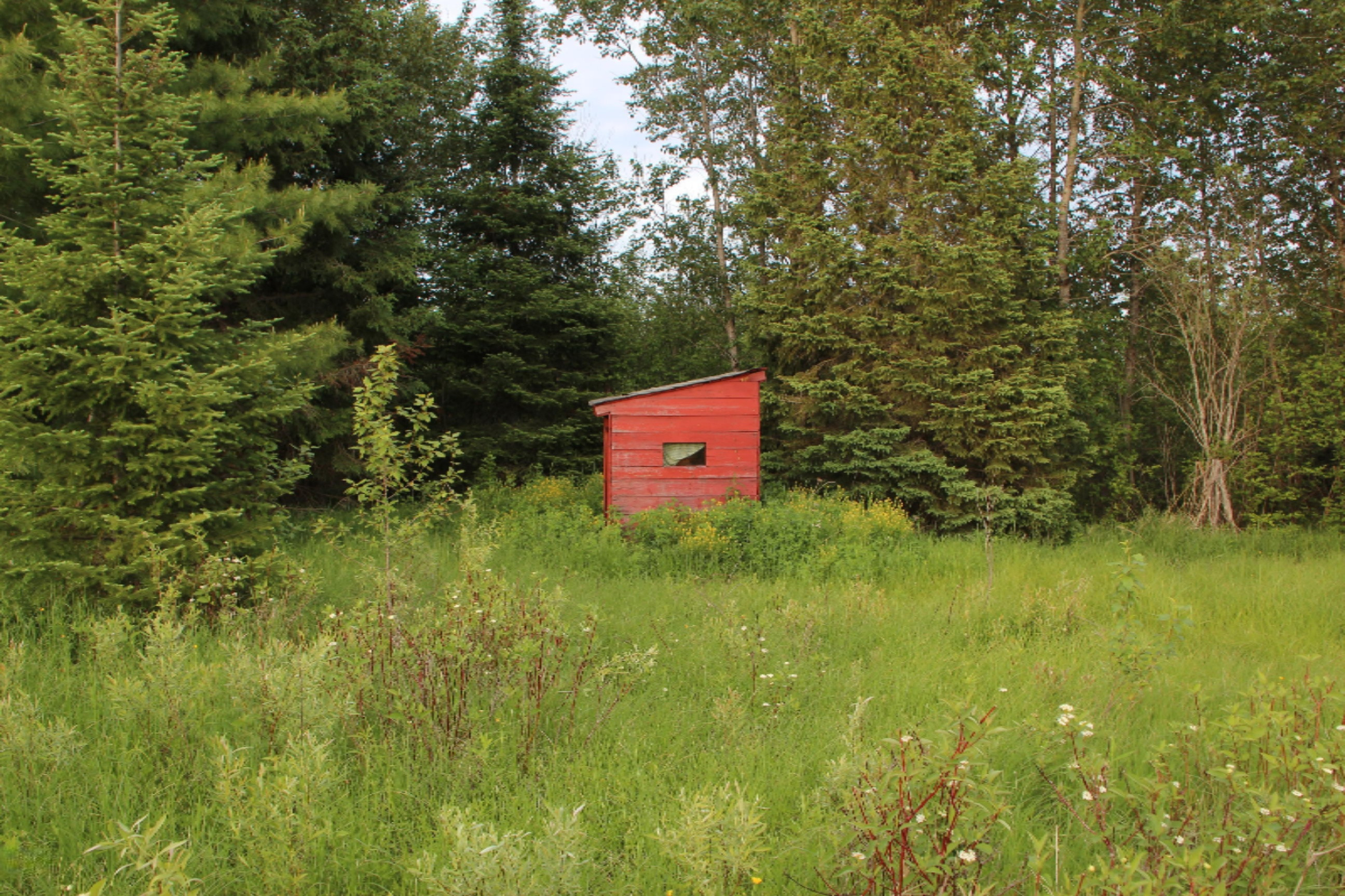 -vl Vl School Road Spruce, MI 48762 - Photo 4 of 10 IMG_0226