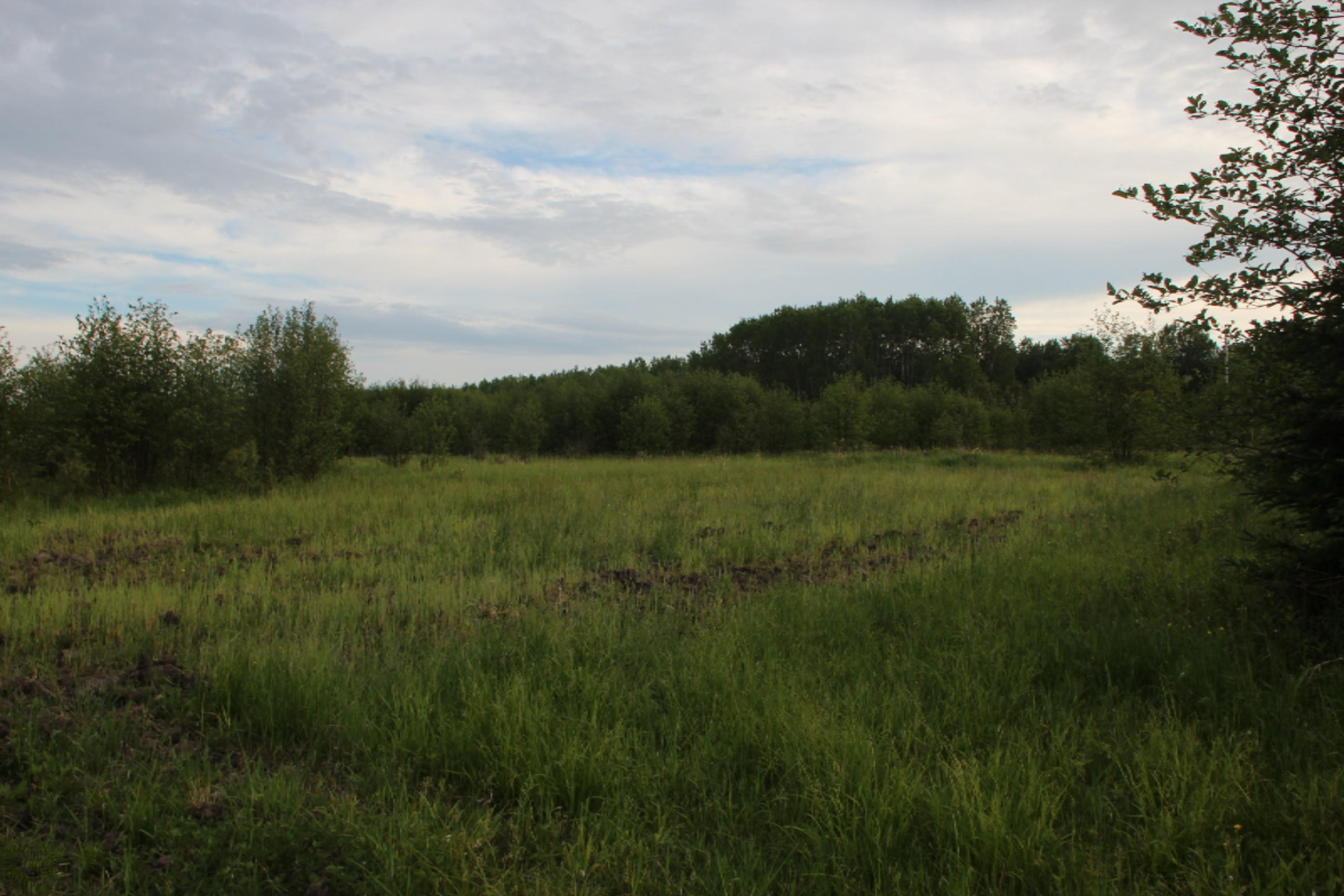 -vl Vl School Road Spruce, MI 48762 - Photo 5 of 10 IMG_0227