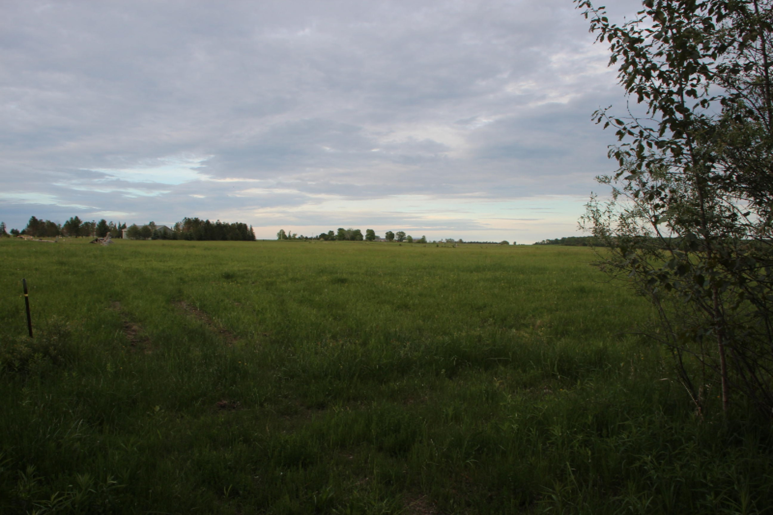 -vl Vl School Road Spruce, MI 48762 - Photo 6 of 10 IMG_0228