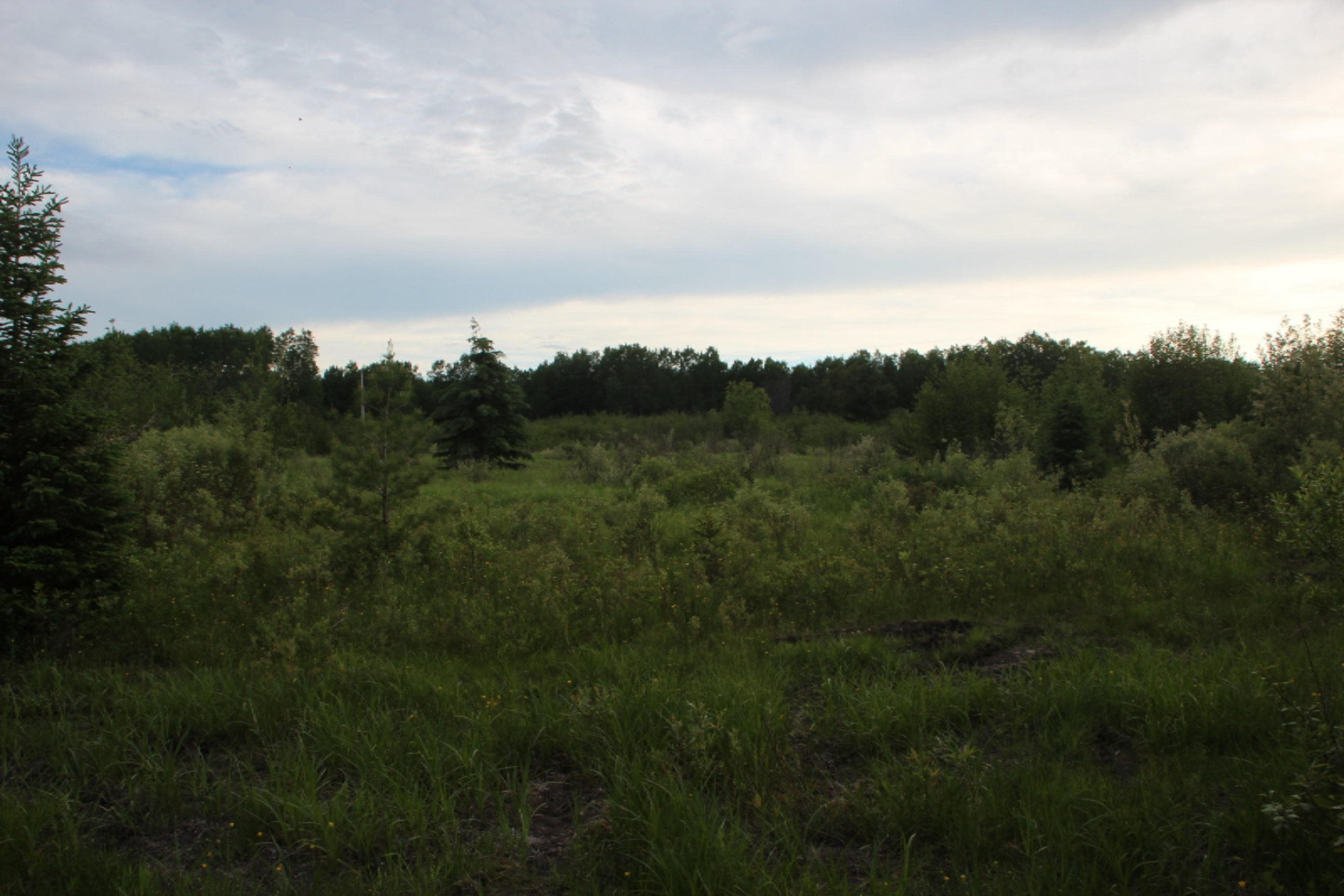 -vl Vl School Road Spruce, MI 48762 - Photo 8 of 10 IMG_0231
