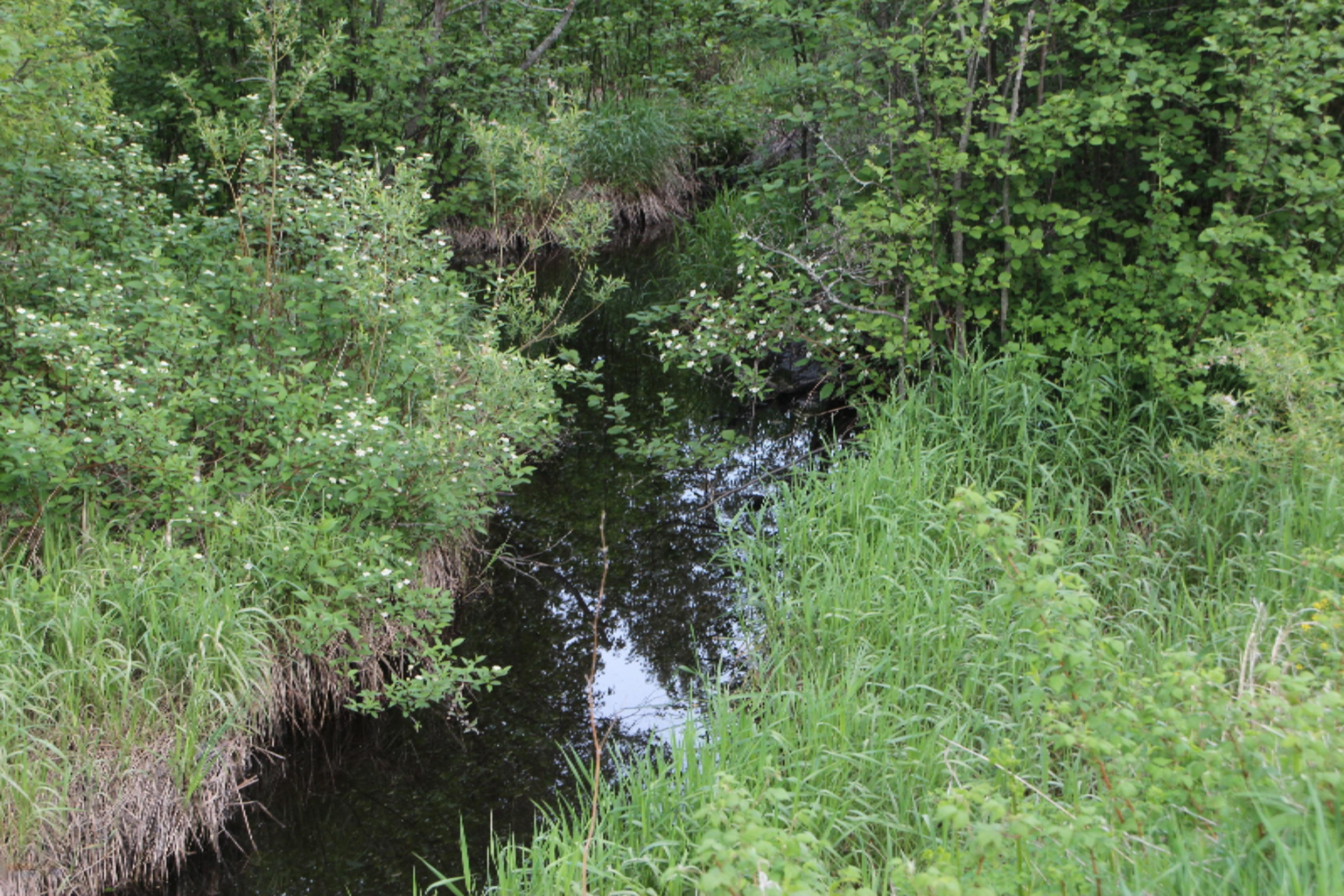 -vl Vl School Road Spruce, MI 48762 - Photo 9 of 10 IMG_0234