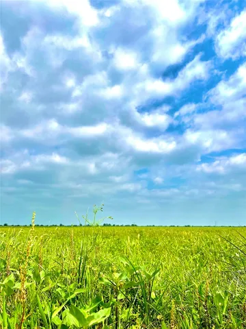 a view of under green space