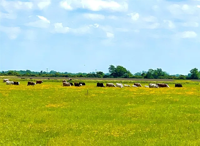 a view of swimming pool and an outdoor space