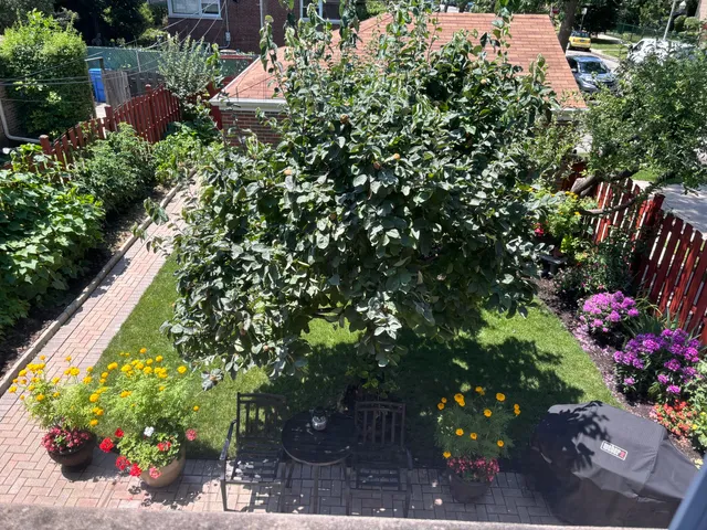 a picture of flowers