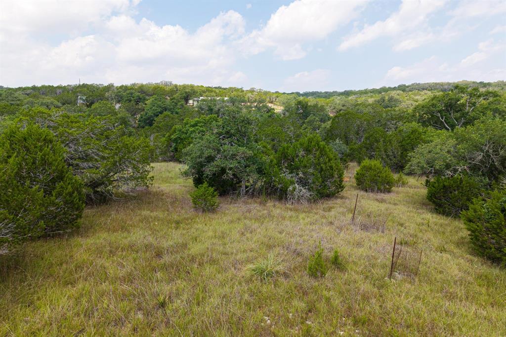 121 Spring Cove Dripping Springs, TX 78620 - Photo 36 of 40