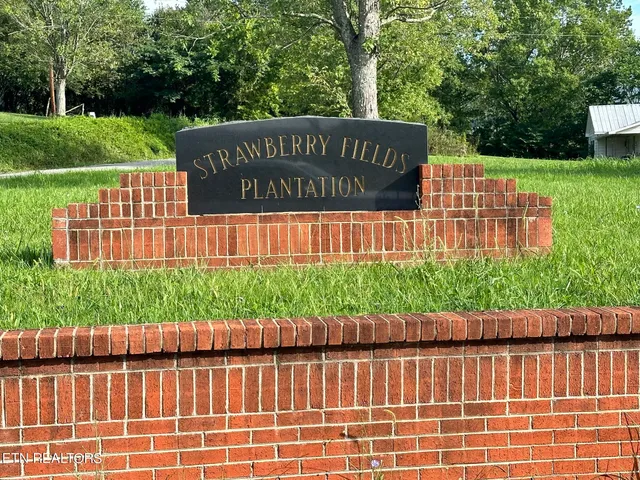 $25,000 | Lot 17 Starling Lane, Speedwell, TN 37870