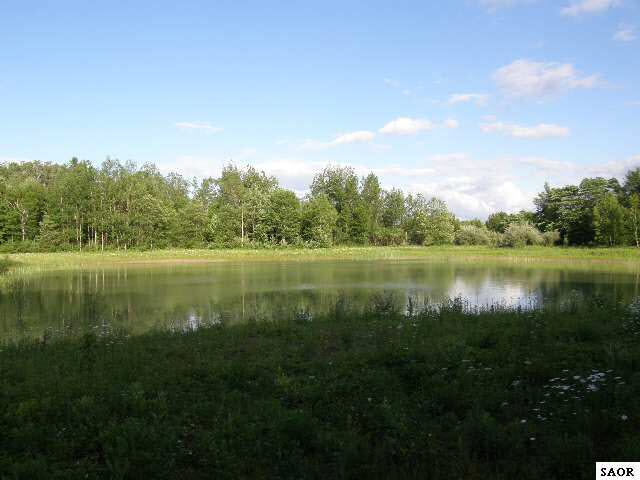 18300 Frandsche Road Oakley, MI 48649 - Photo 8 of 9 48040-7.JPG