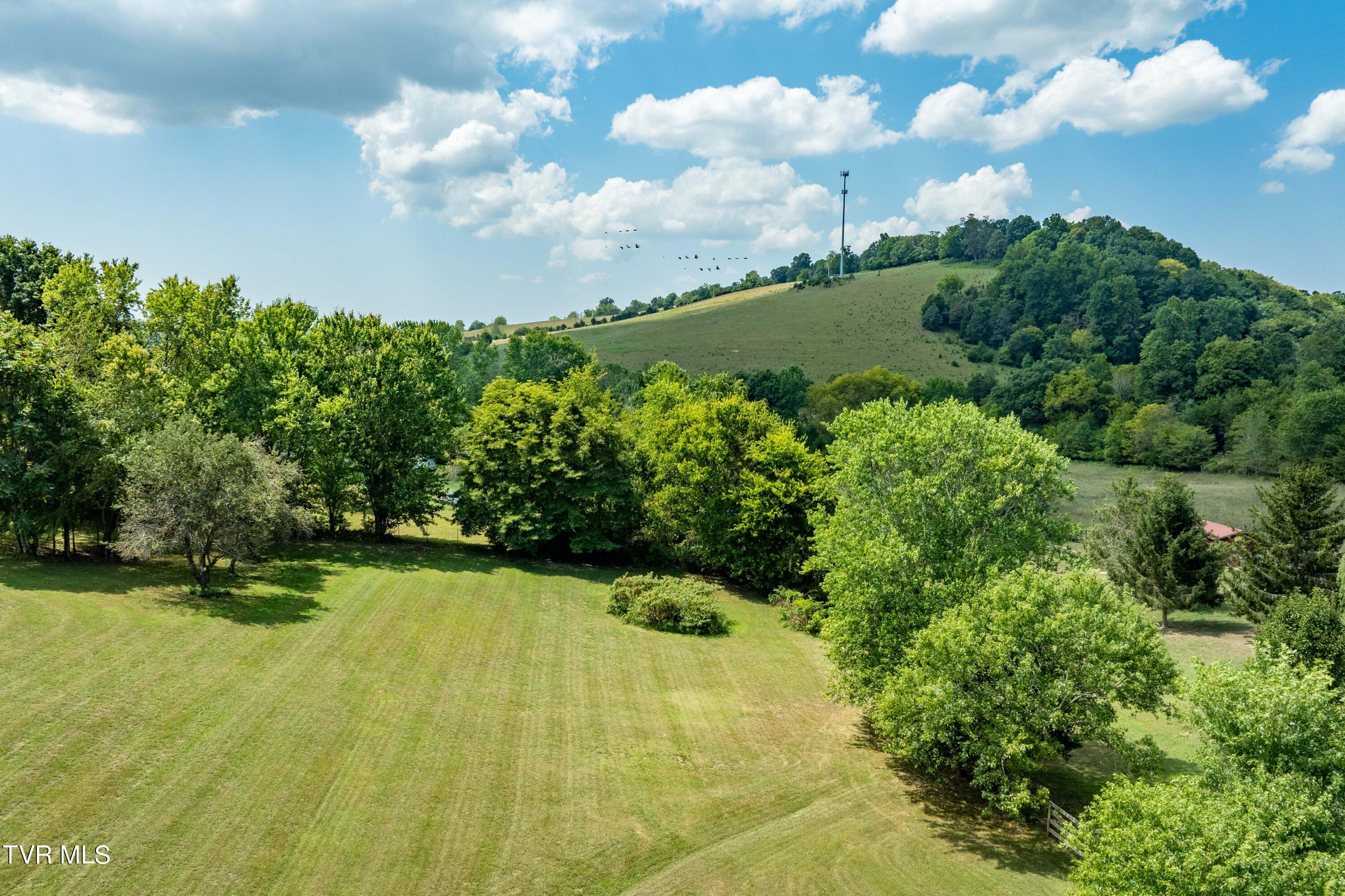 279 West Ridge Road Jonesborough, TN 37659 - Photo 54 of 82 279 W Ridge Rd (24 of 82)