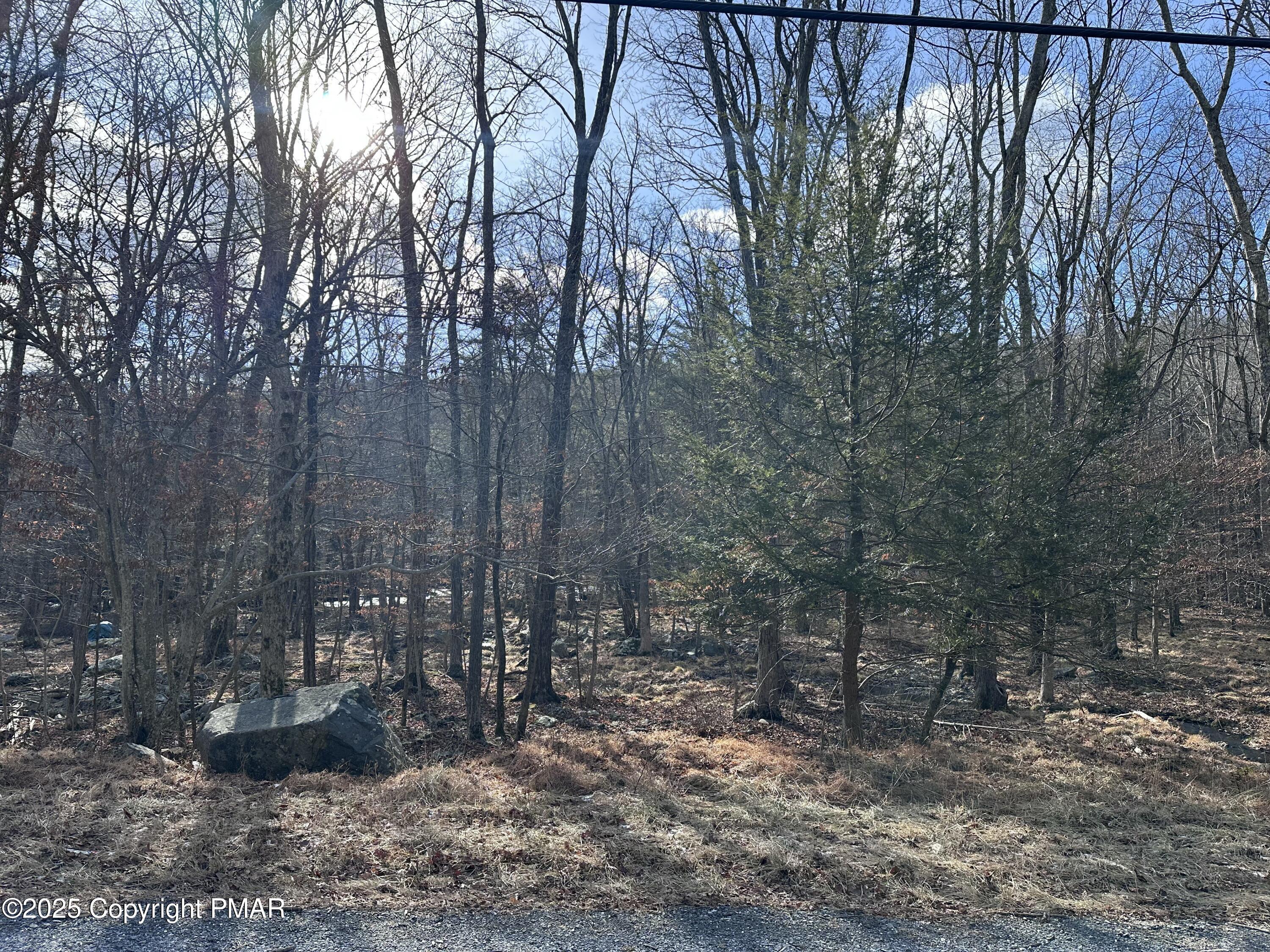 Lot 736 Decker Road Bushkill, PA 18324 - Photo 2 of 34 a view of a forest filled with trees