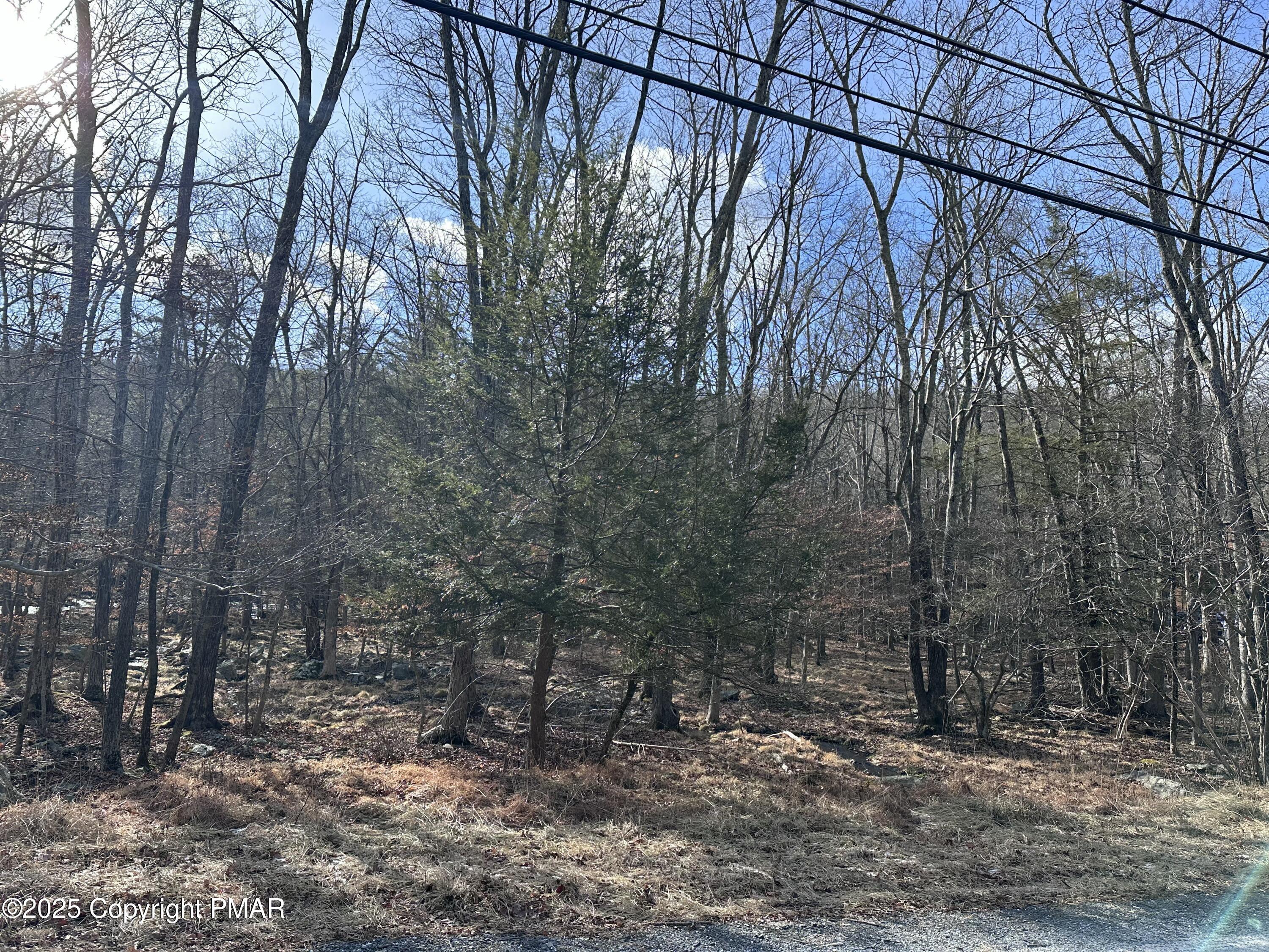 Lot 736 Decker Road Bushkill, PA 18324 - Photo 4 of 34 a backyard of a house with lots of green space