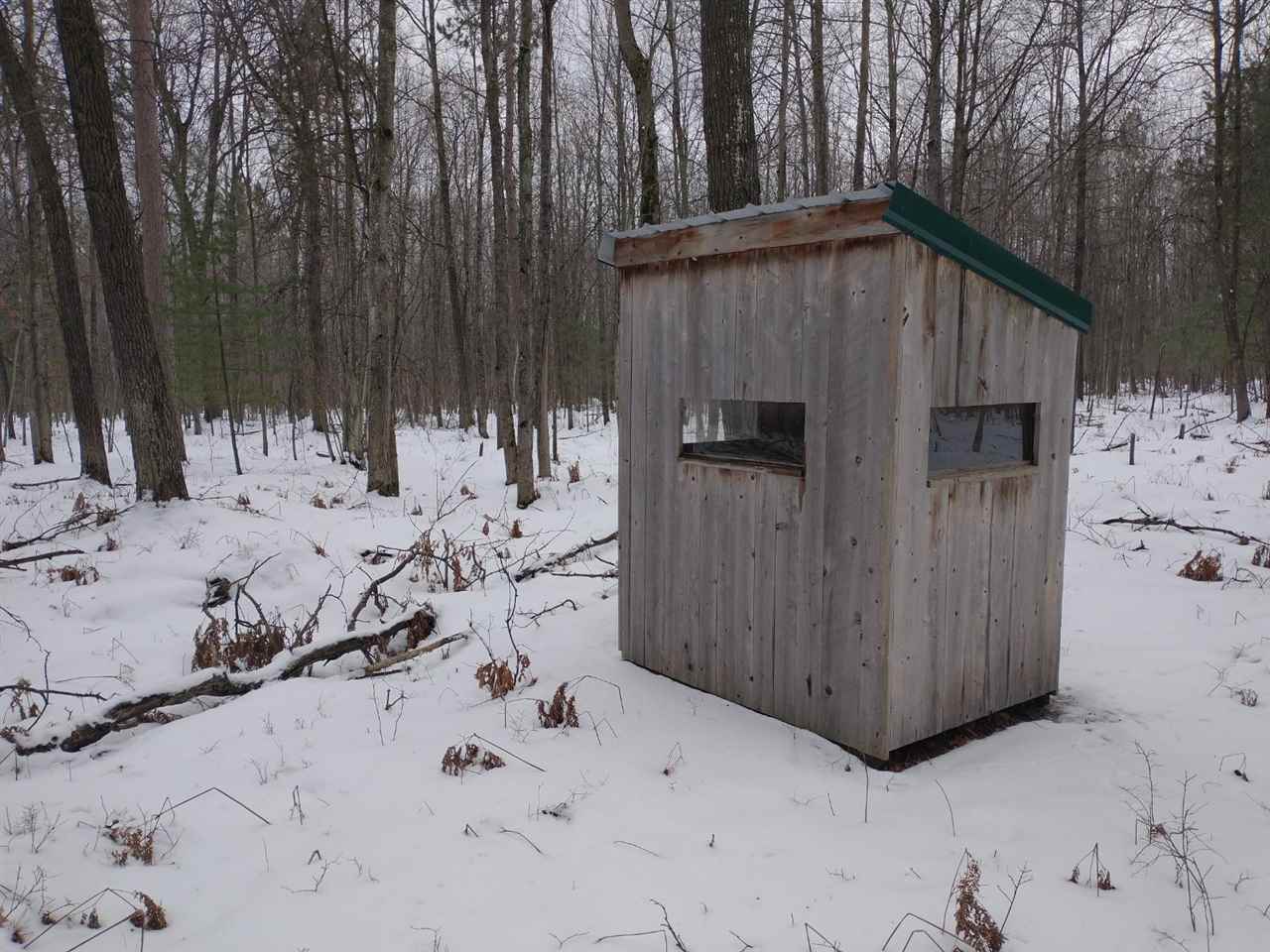 40-acres Sugar River Road Gladwin, MI 48624 - Photo 26 of 33