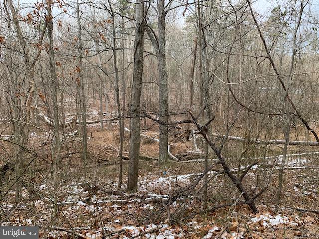 0 McCoy Road Berkeley Springs, WV 25411 - Photo 2 of 5