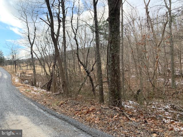 0 McCoy Road Berkeley Springs, WV 25411 - Photo 3 of 5