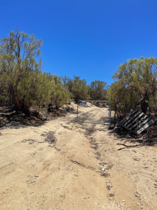 0 Ramsey Road Anza, CA 92539 - Photo 2 of 3 a view of a yard with a tree