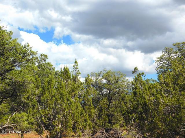 7271 Red Butte Road Williams, AZ 86046 - Photo 10 of 12 20170930202718018730000000-o