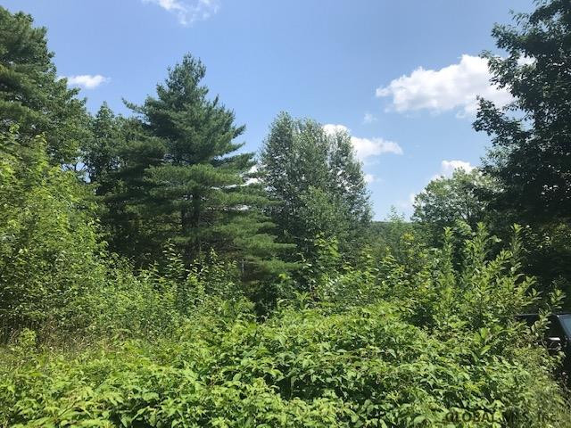 283 Stock Farm Road Chester, NY 12817 - Photo 13 of 14 Photo 13