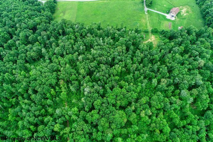 547 Sereno Road Terra Alta, WV 26764 - Photo 2 of 6 Gallery Image 2