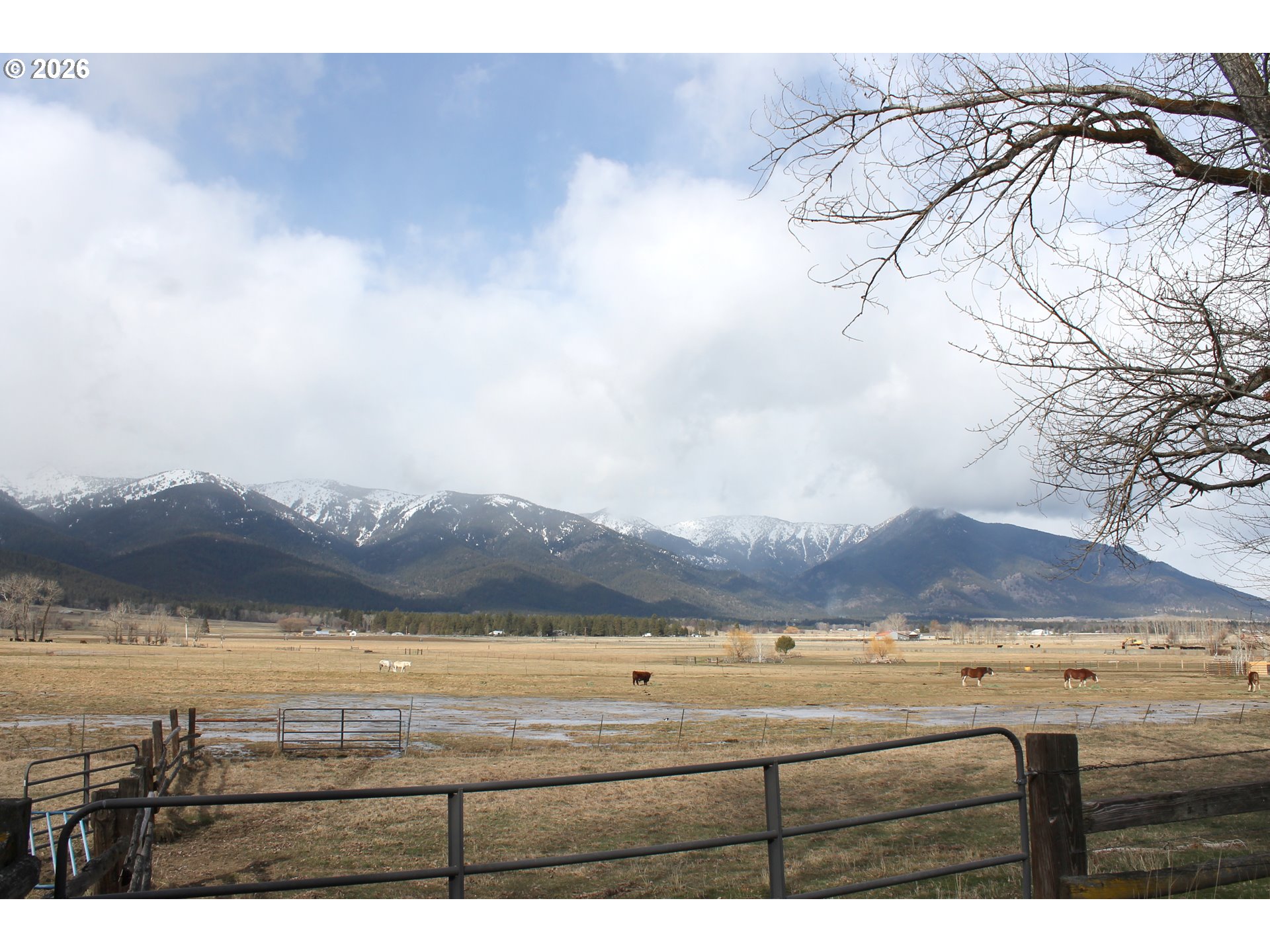 42274 Pocahontas Road Baker City, OR 97814 - Photo 8 of 19 Gallery Image 8