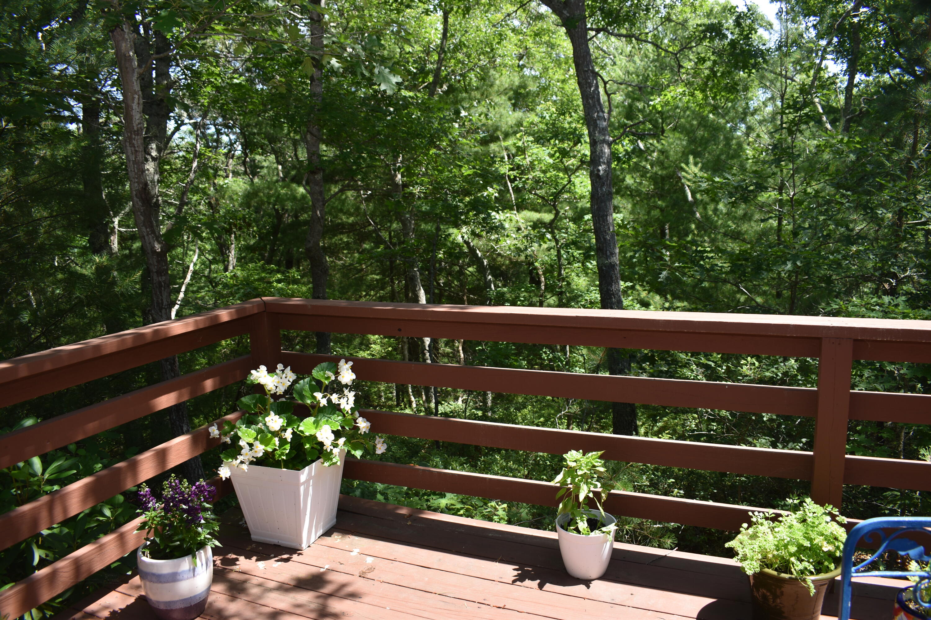 6 Round House Road Bourne, MA 02532 - Photo 20 of 25 a view of a chair and tables front of the house