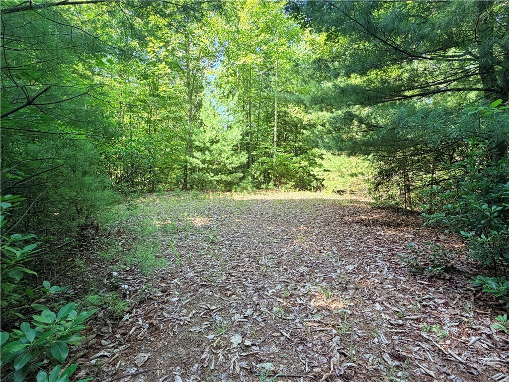 171-172b Blue Rock Road Purlear, NC 28665 - Photo 2 of 47