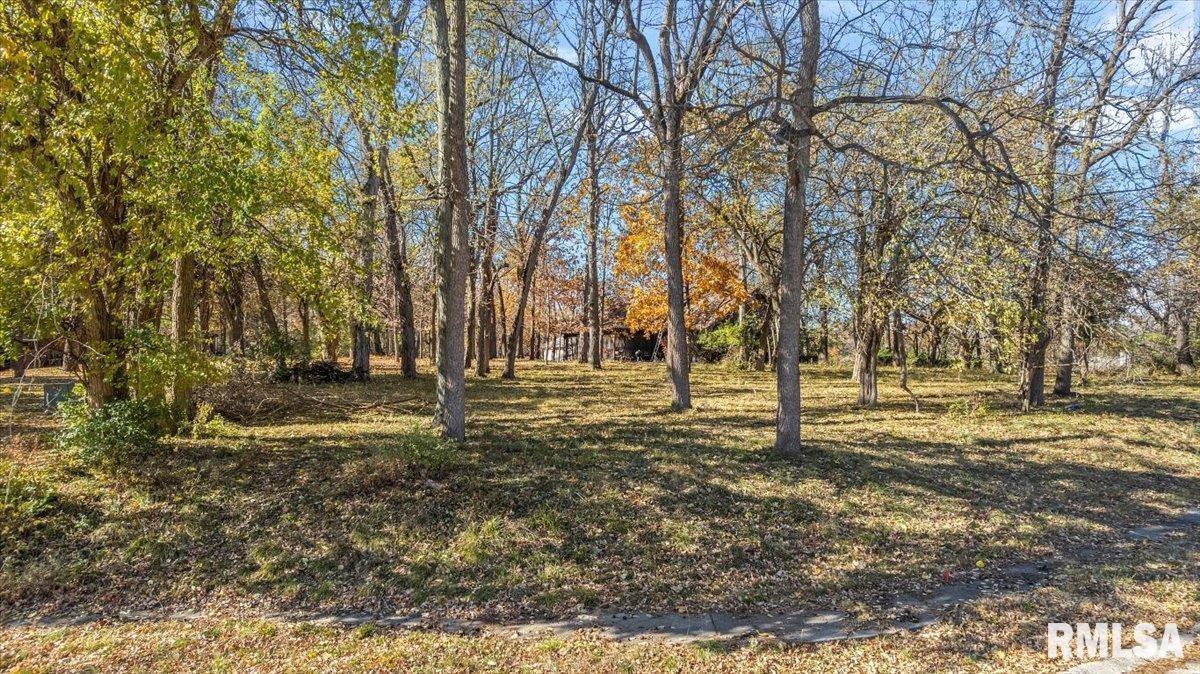 3710 West Bluffs Road Springfield, IL 62711 - Photo 3 of 7