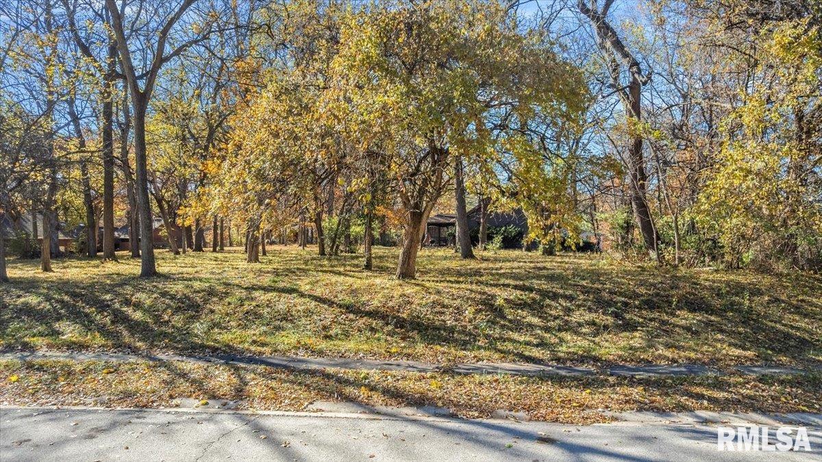 3710 West Bluffs Road Springfield, IL 62711 - Photo 7 of 7