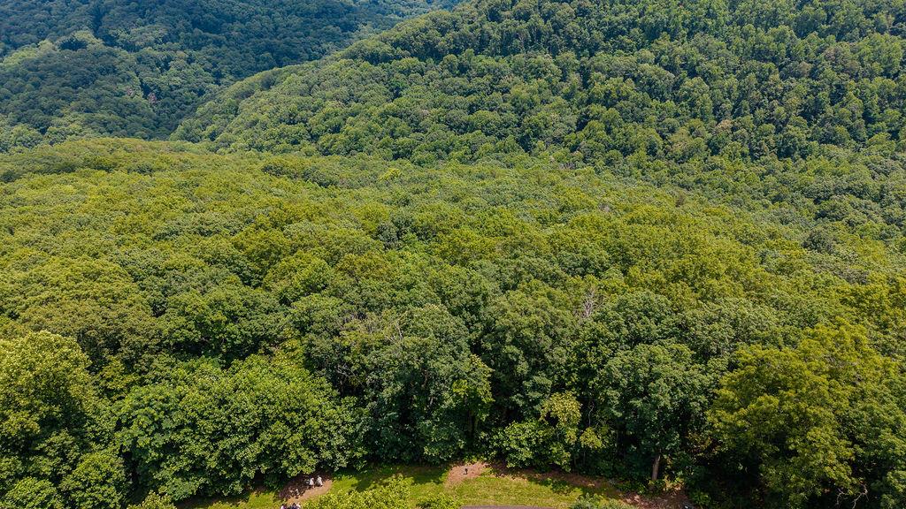 274 Andes Ridge Morganton, GA 30560 - Photo 19 of 24