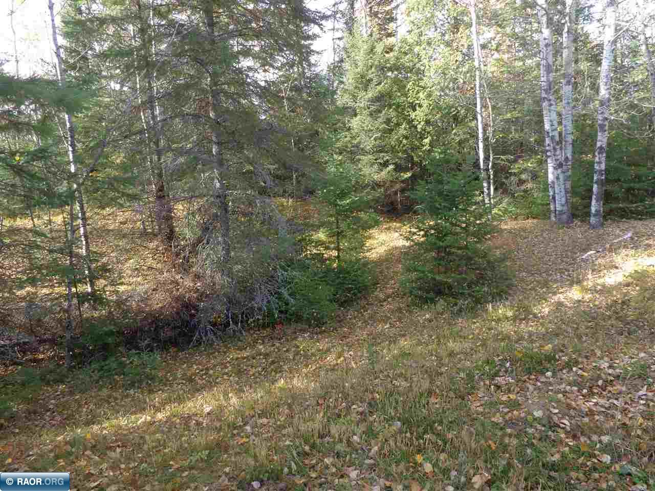 Tbd Hilda Road Tower, MN 55790 - Photo 11 of 14