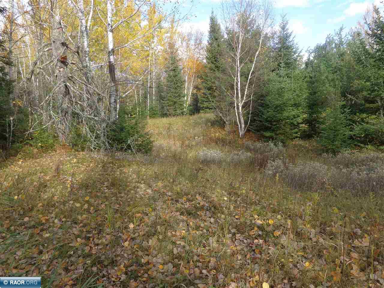 Tbd Hilda Road Tower, MN 55790 - Photo 12 of 14