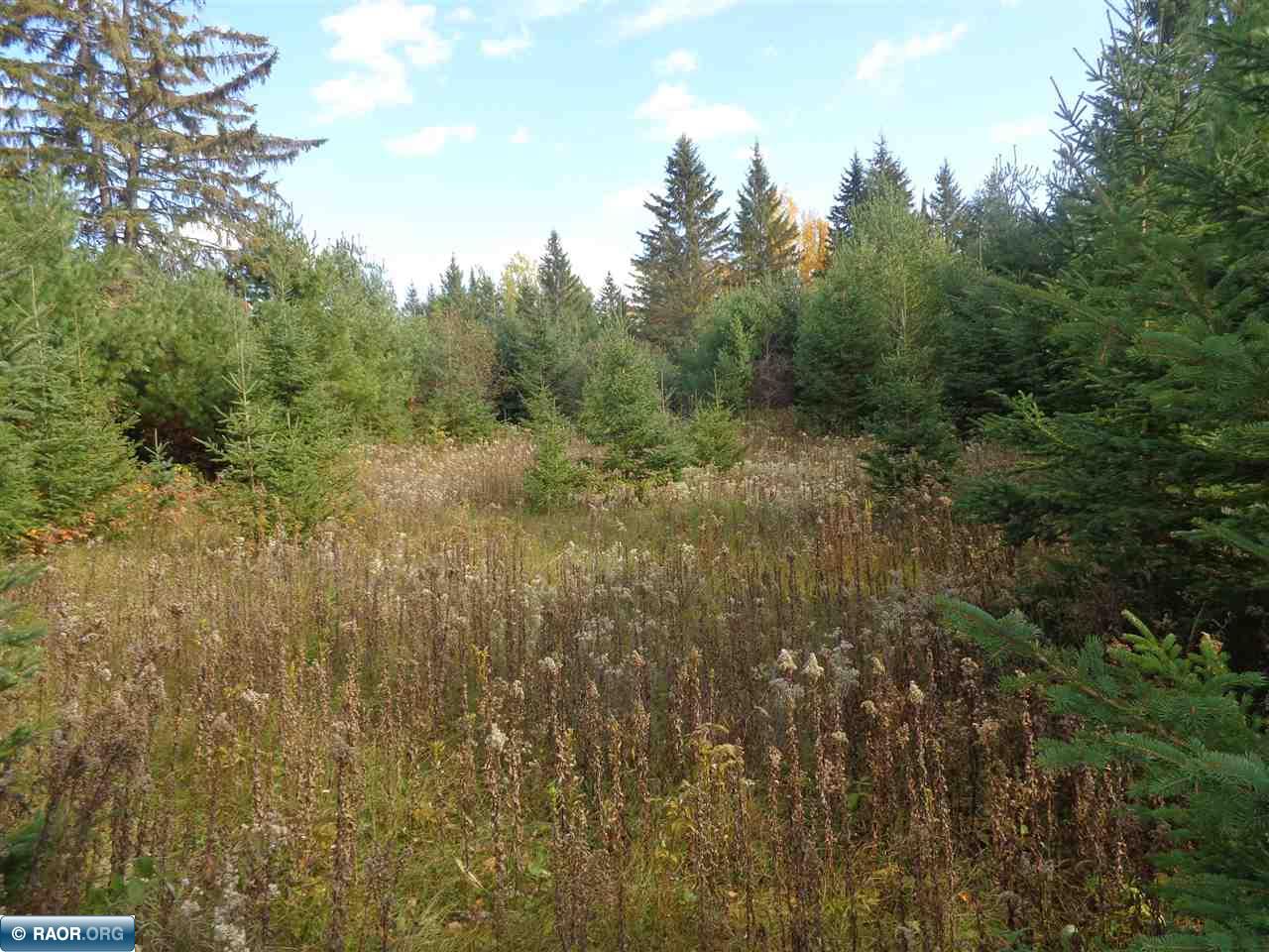 Tbd Hilda Road Tower, MN 55790 - Photo 8 of 14