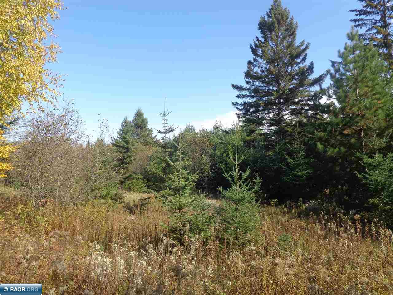 Tbd Hilda Road Tower, MN 55790 - Photo 10 of 14
