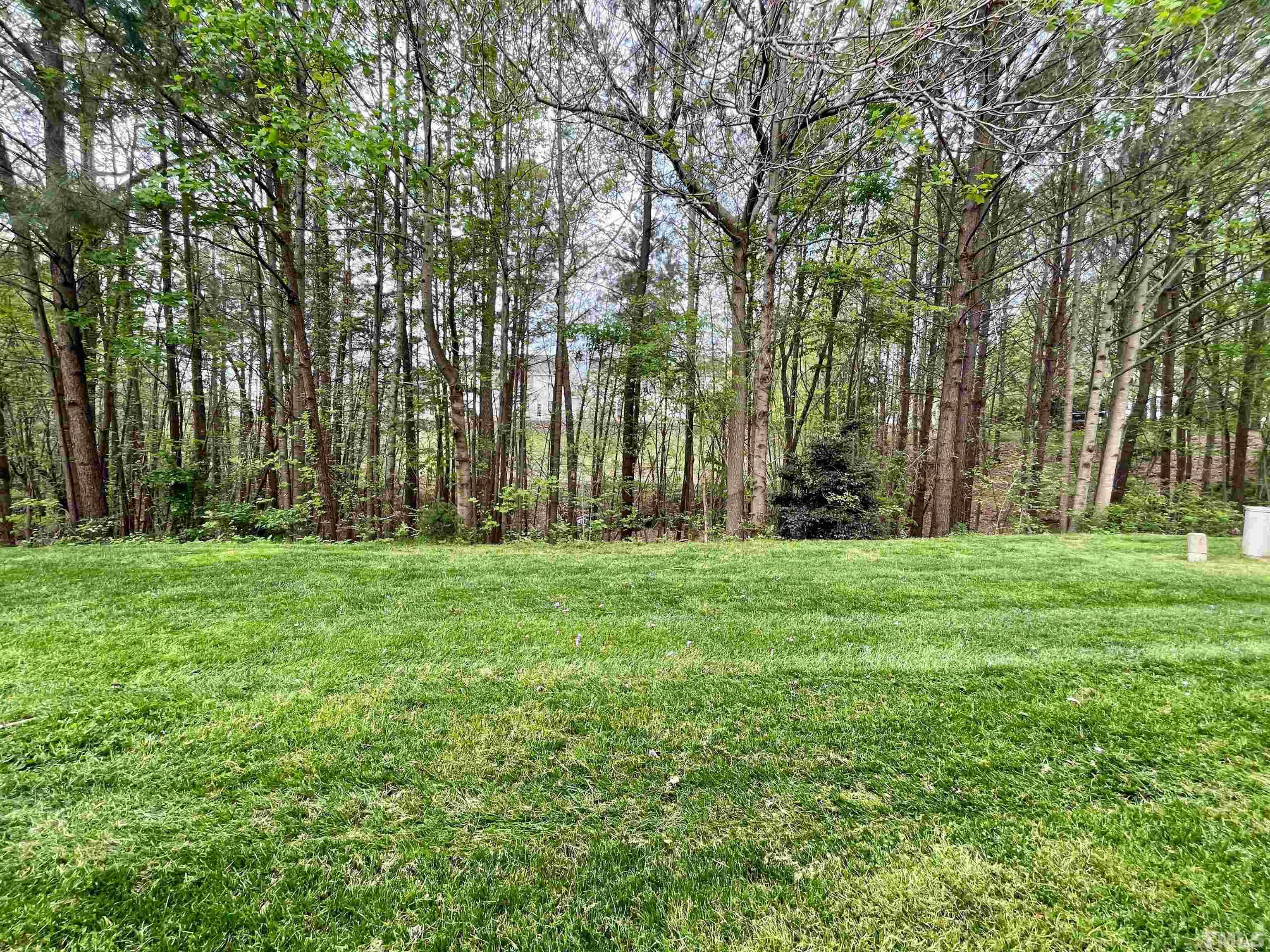 8467 Reedy Ridge Lane Raleigh, NC 27613 - Photo 4 of 46 a backyard of a house with lots of green space