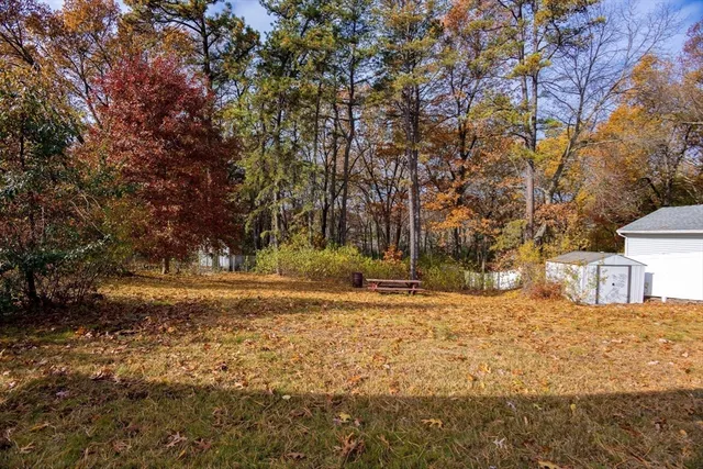 a view of large trees with yard