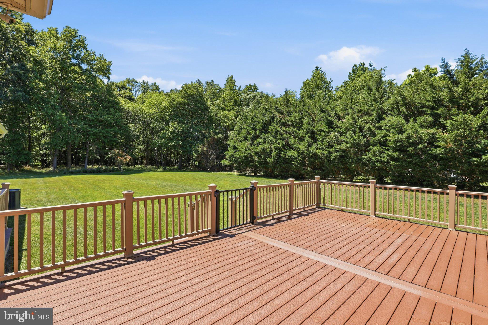 16932 Fitzgeralds Road Lincoln, DE 19960 - Photo 89 of 103 Spacious deck overlooking lush greenery.