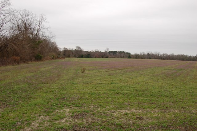 Cordova Road, Unit (84 AC) Cordova, SC 29039 - Photo 3 of 3 Photo 3