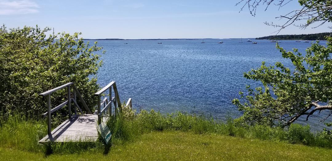 341 Flye Point Road Brooklin, ME 04616 - Photo 27 of 27 larkin 107
