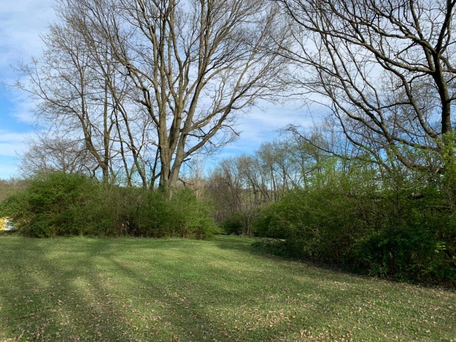 261 Colville Road Paris, KY 40361 - Photo 20 of 67 Listing Photo