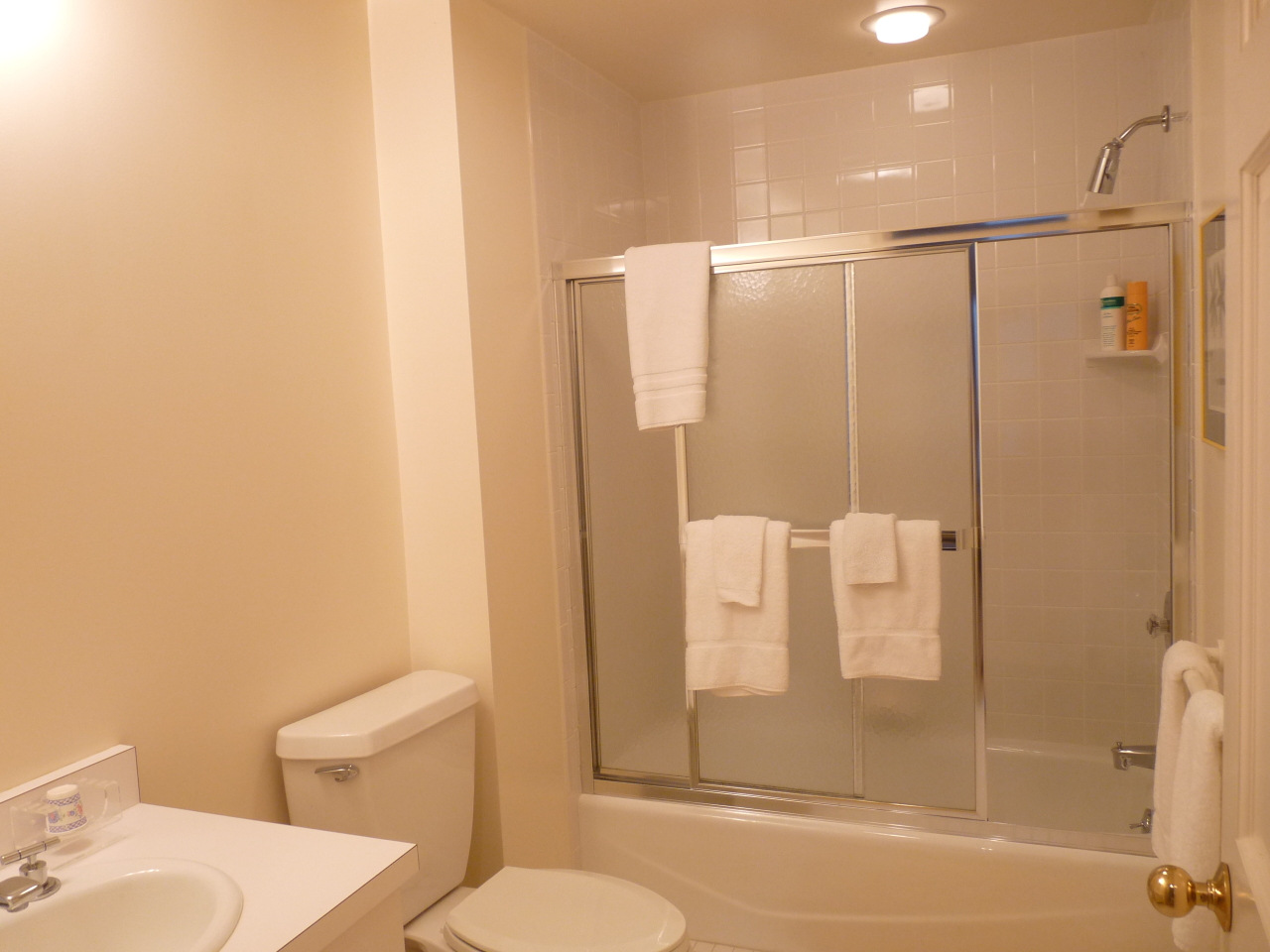 200 Old Stockbridge Road, Unit 6A Lenox, MA 01240 - Photo 23 of 30 lower level full bath