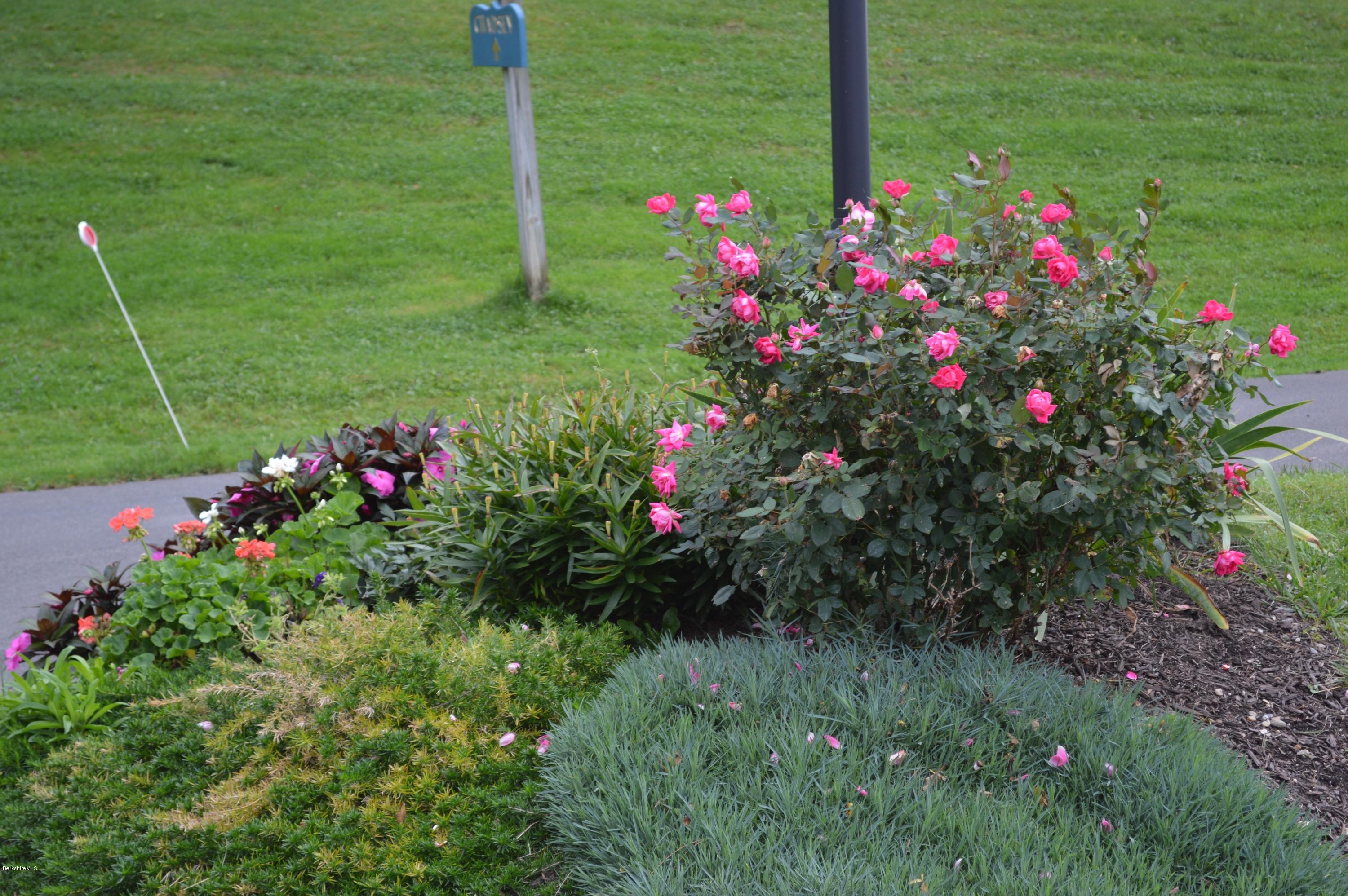 200 Old Stockbridge Road, Unit 6A Lenox, MA 01240 - Photo 25 of 30 association plantings