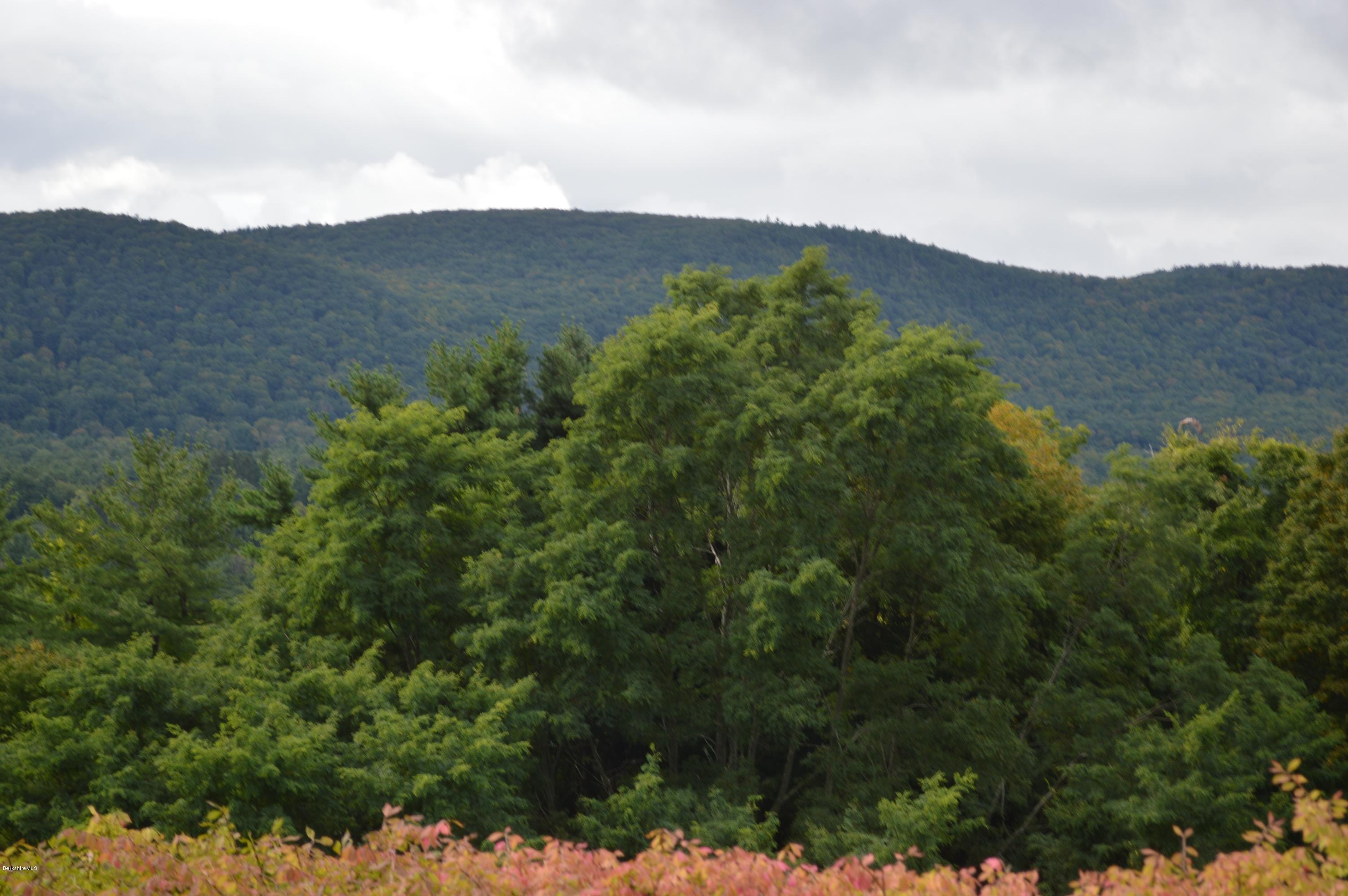 200 Old Stockbridge Road, Unit 6A Lenox, MA 01240 - Photo 27 of 30 beautiful views
