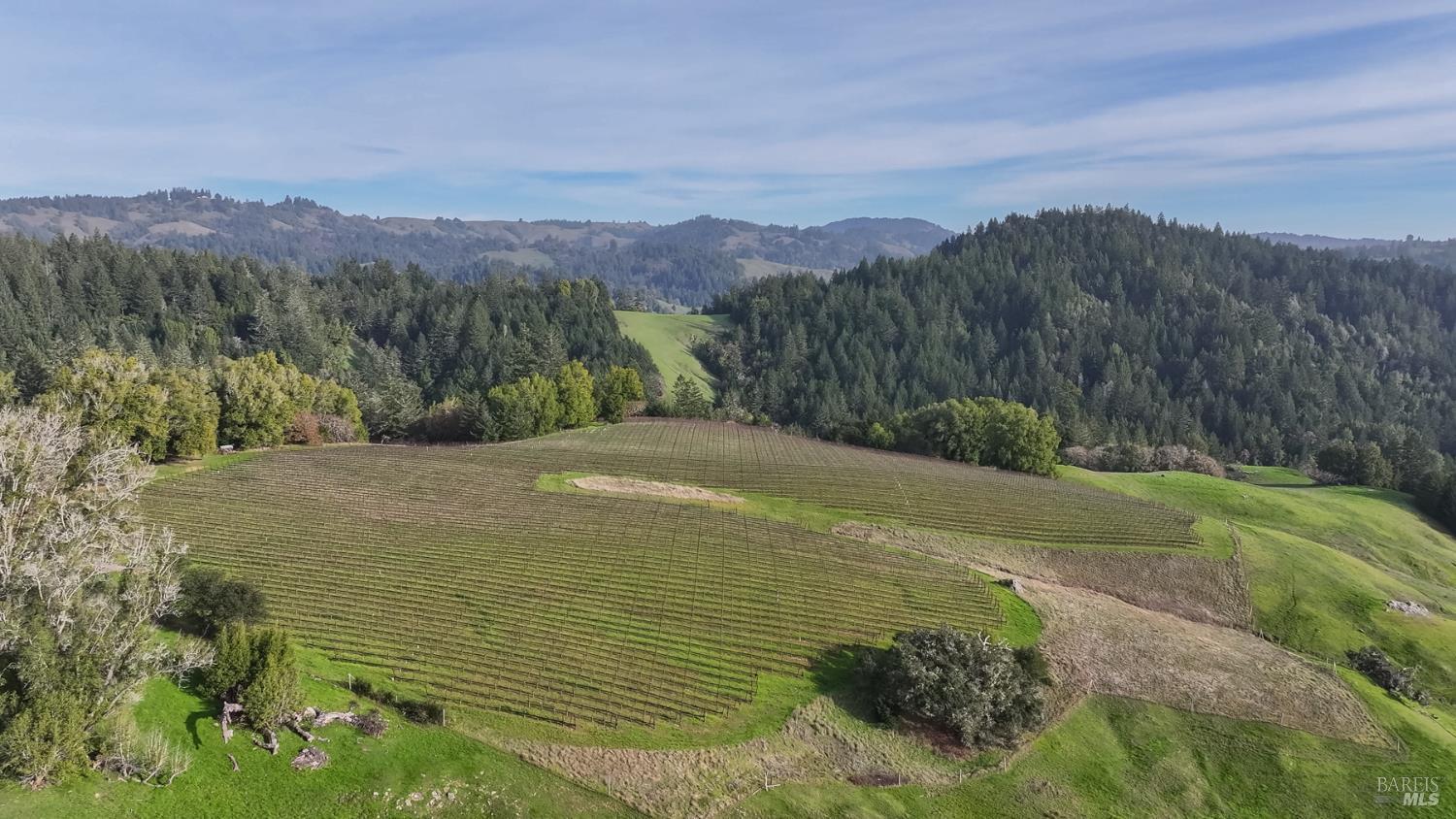 38555 Hauser Bridge Road Cazadero, CA 95421 - Photo 49 of 93