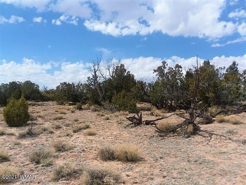 002 Sec 23 T17n R27e St. Johns, AZ 85936 - Photo 2 of 11