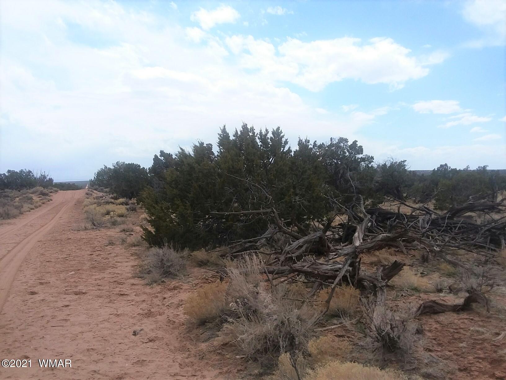 002 Sec 23 T17n R27e St. Johns, AZ 85936 - Photo 4 of 11