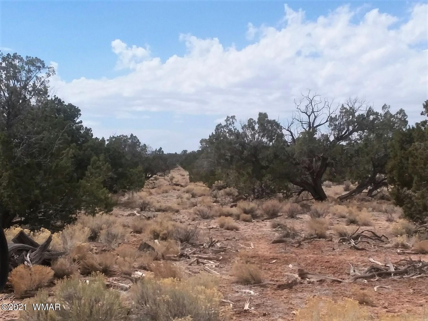002 Sec 23 T17n R27e St. Johns, AZ 85936 - Photo 5 of 11
