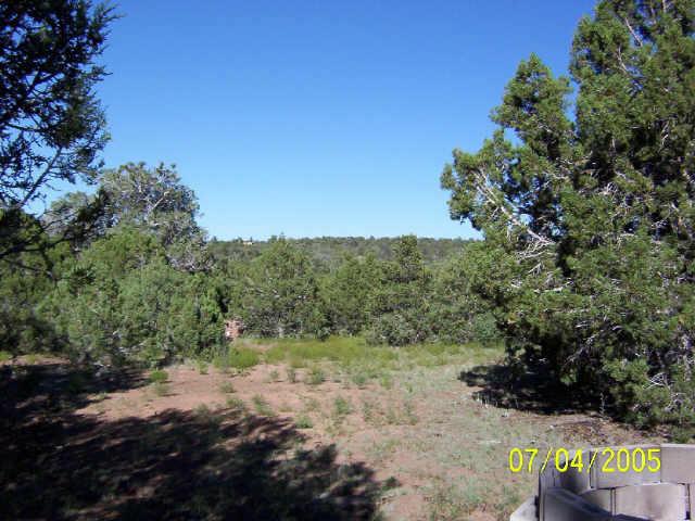 5288 Alserita Road, Unit 4 Show Low, AZ 85901 - Photo 3 of 3 Additional Photo