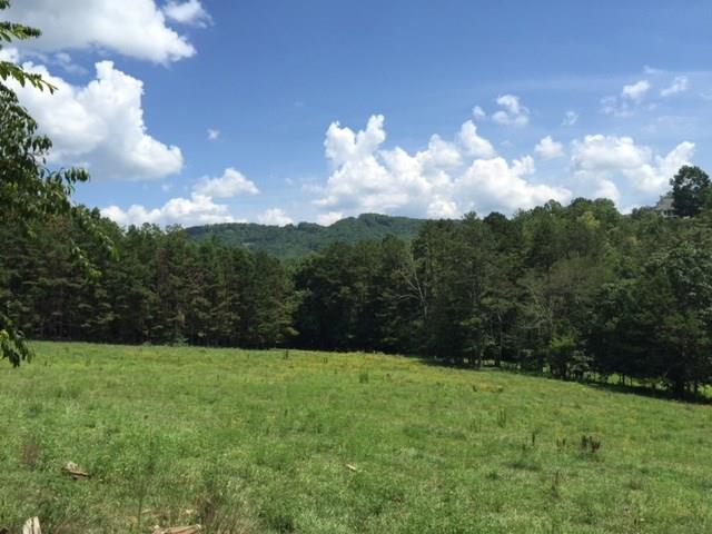 0 Cut Cane Road Mineral Bluff, GA 30559 - Photo 1 of 1 Beautiful mountain views - total of 9 acres