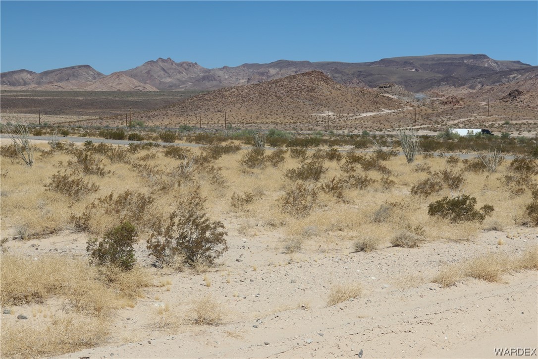 Gallery Image 1